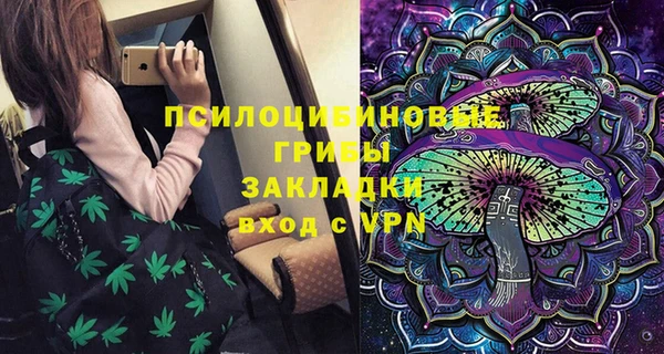 ALPHA PVP Бородино