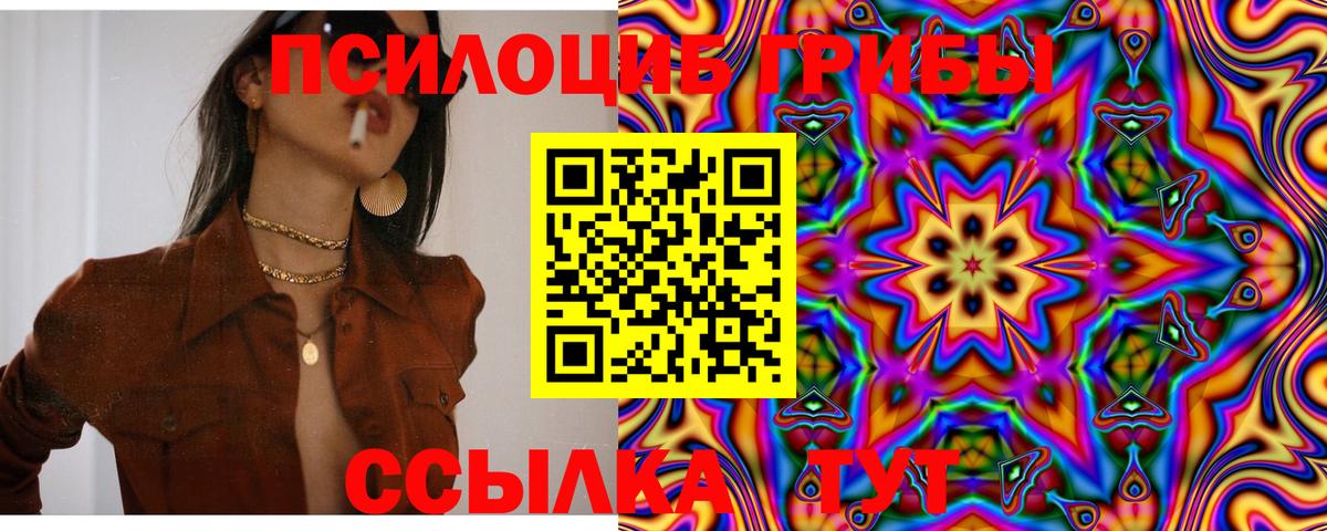 Медногорск  Галлюциногенные грибы Psilocybe  Вход с VPN 